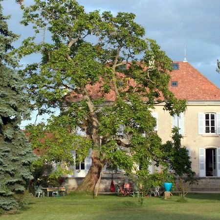 Le Clos Des Roseaux ショレ・レ・ボーヌ エクステリア 写真